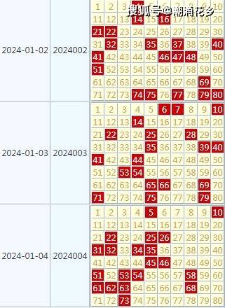 2024天天彩资料免费大全,快速解决方式指南_NNI49.670VR版