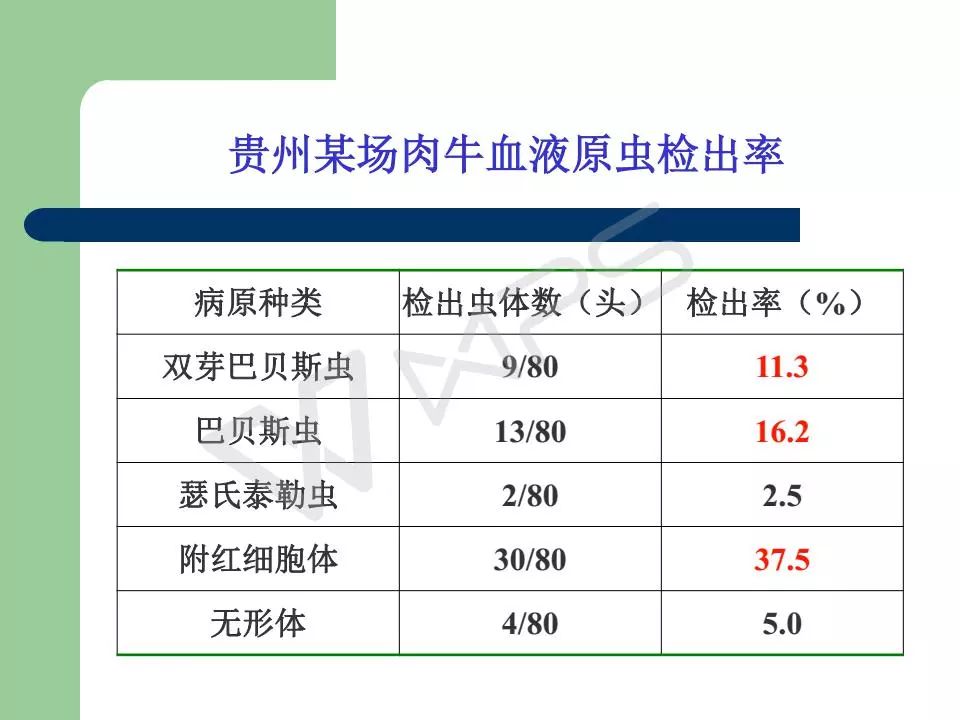 2024新澳门免费资料公开,多元化诊断解决_AHD49.912明亮版
