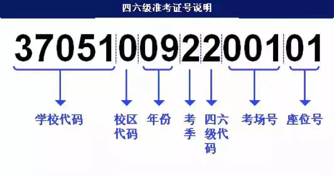 三肖必中三期必出凤凰网2023,快速解答方案实践_ZOI49.855启动版