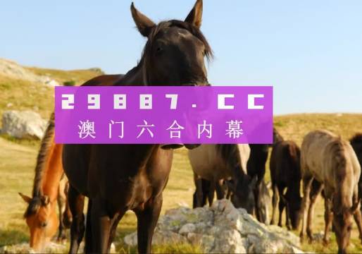 澳门管家婆一肖一码2023年图片,详情执行数据安援_OPD49.628品牌版