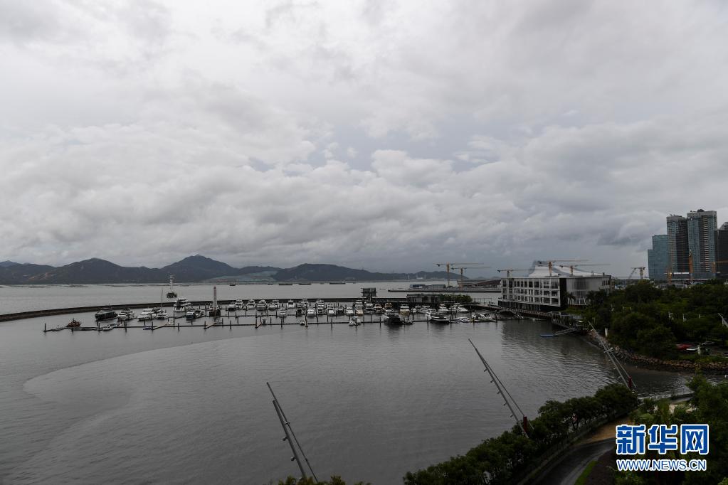 深圳帕卡台风最新动态及分析