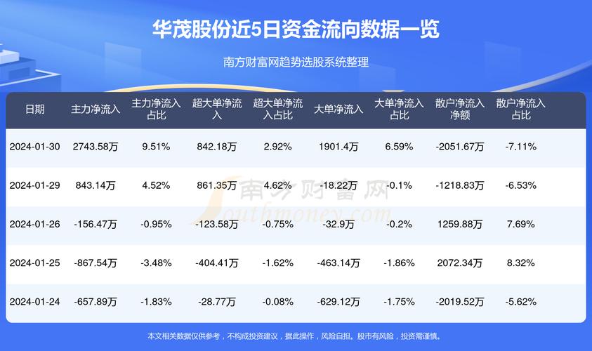 华茂股份2015年最新动态，铸就辉煌，引领行业前行