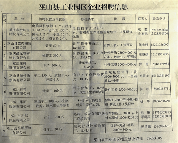榆佳工业园区最新招聘，小巷中的隐藏宝藏，探索职业新机遇！