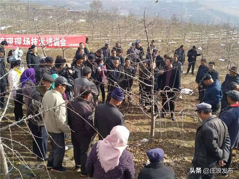 旋转接头 第485页