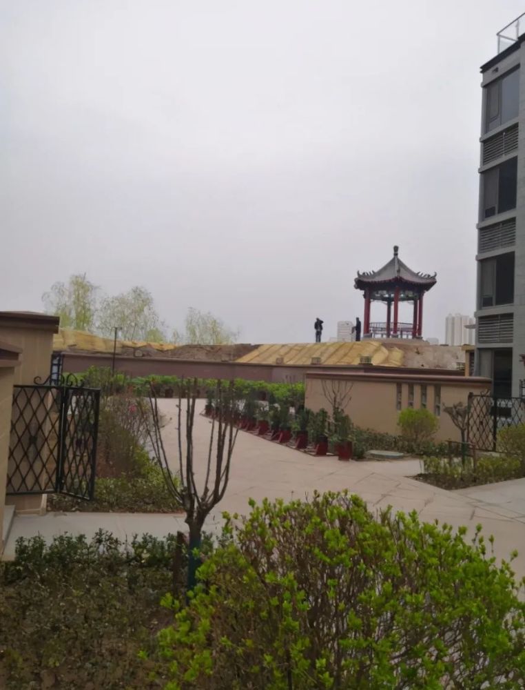 导热油旋转接头 第514页