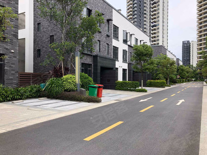 万科珠江东岸最新动态，城市精英的理想居所揭秘