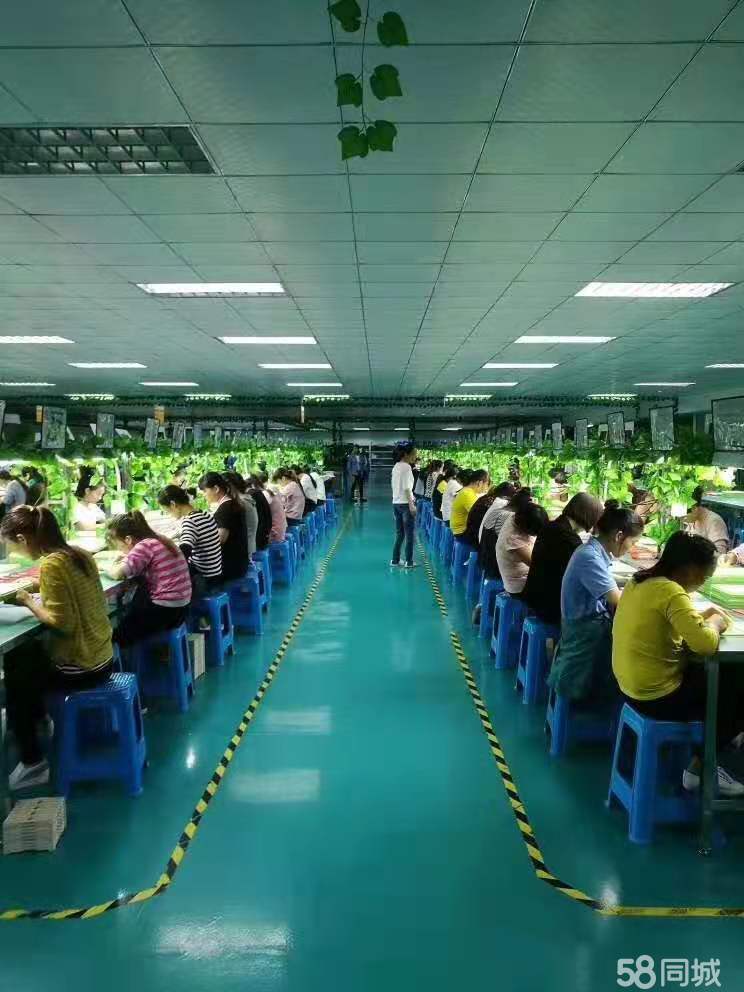 盛泽最新长白班8小时工作制，任务完成与技能学习指南