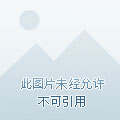 戴尔最新款笔记本电脑，技术革新与极致用户体验的完美结合