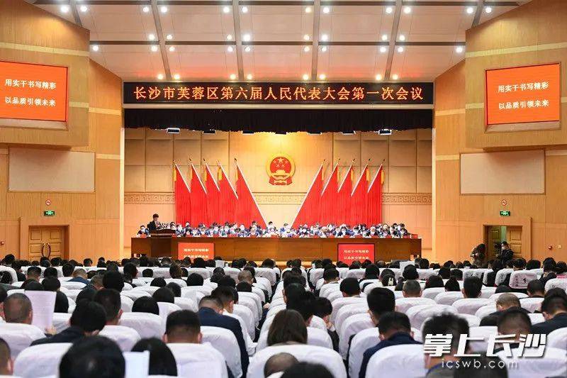 望城区政府人事任命详解，步骤指南与最新任命概览