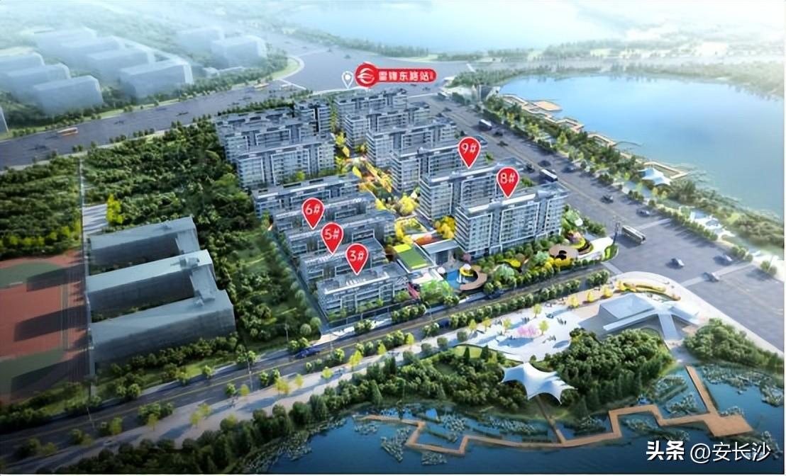 湖南国企改革最新动态与小巷深处的独特风味