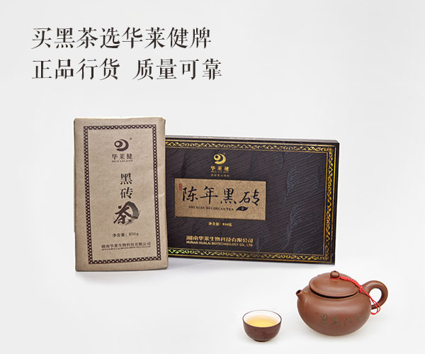 华莱健黑茶最新动态，自然美景探寻之旅启程