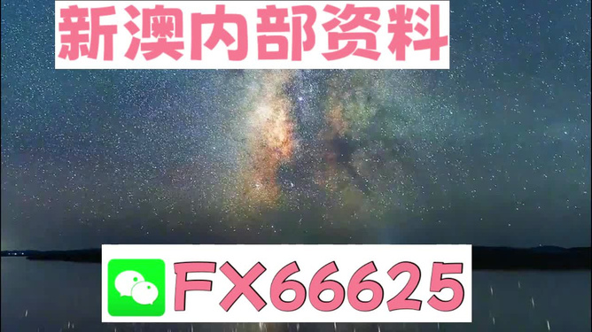 新澳天天彩免费资料大全查询,数据导向程序解析_ETQ83.247先锋版