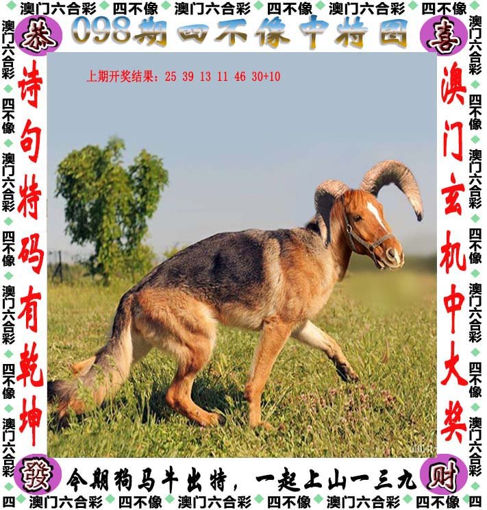 今晚澳门特马开什么今晚四不像,全面性解释说明_IMZ9.540DIY版