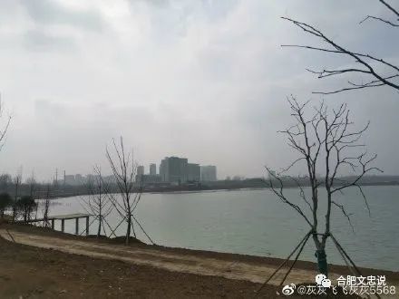 少荃湖最新动态，自然美景探索之旅，寻觅内心平和与宁静