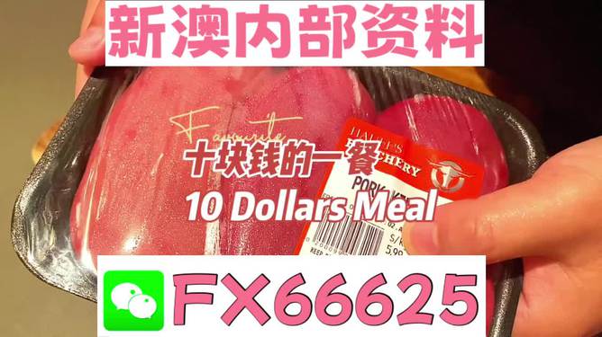 新澳精准资料免费提供网,快速产出解决方案_迷你版84.741