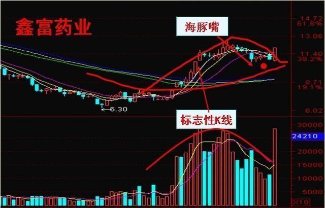 导热油旋转接头 第447页