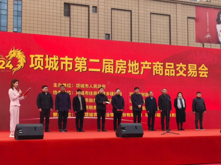 揭秘2024项城最新房价走势，购房者的机遇与挑战分析
