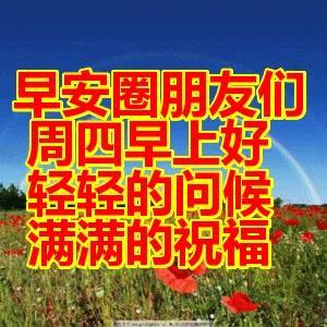 最新动态早上好图片,最新动态早上好图片，背景、影响与地位