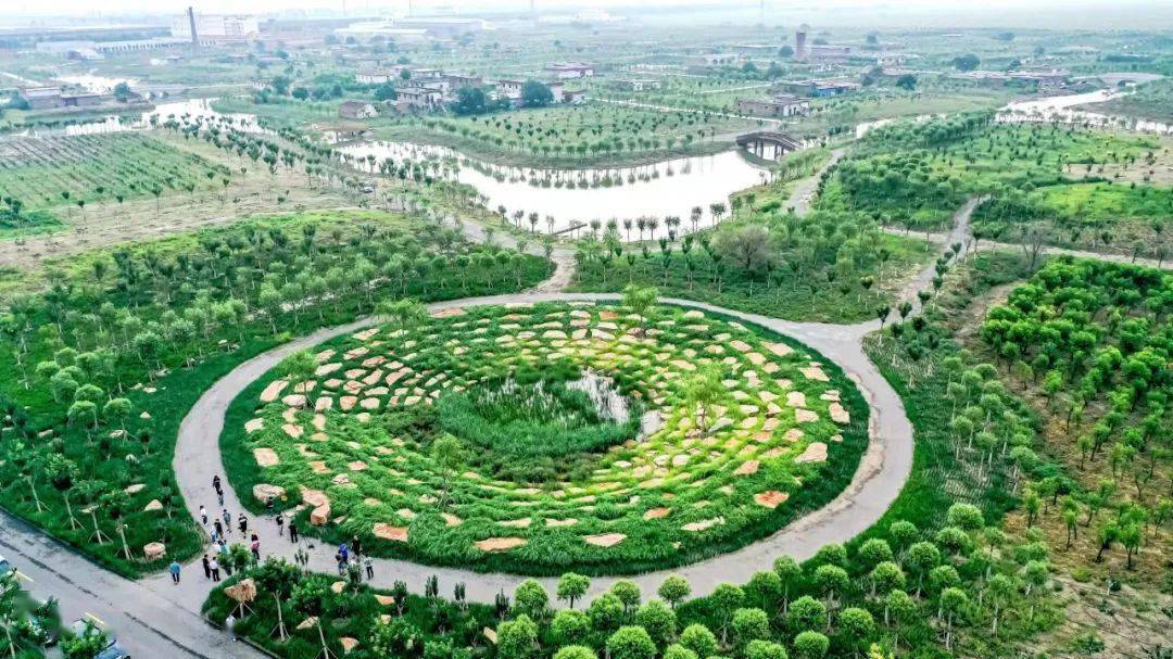 王稳庄镇最新土地消息深度解析，一种观点的视角