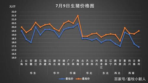 今日生猪价格行情分析与趋势预测