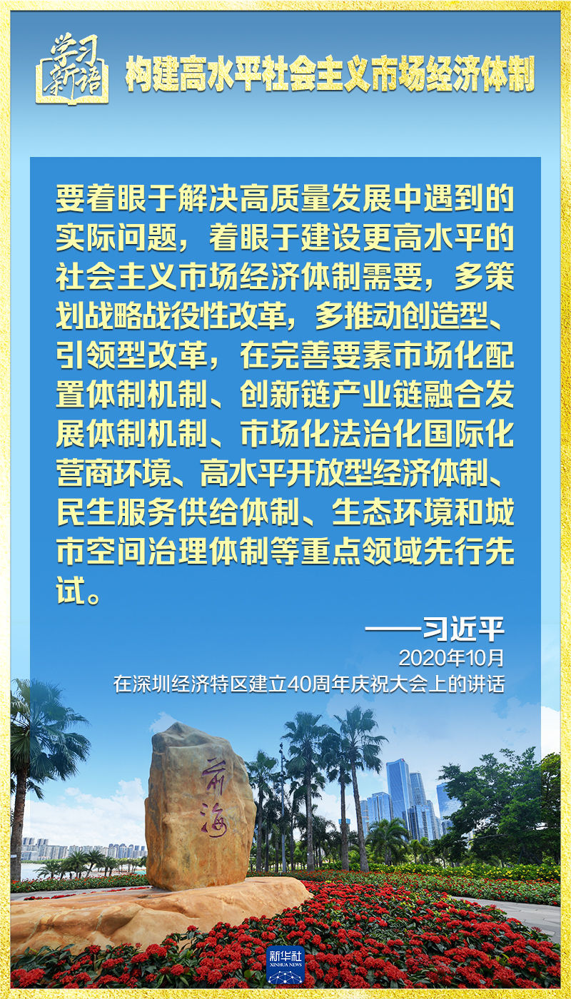 深度探讨，最新包容理念及其观点阐述