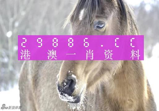 最准一肖一码100%澳门,实时分析处理_抓拍版36.455