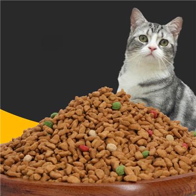 科技革新下的最新猫粮，重塑猫咪生活，点燃爱宠激情