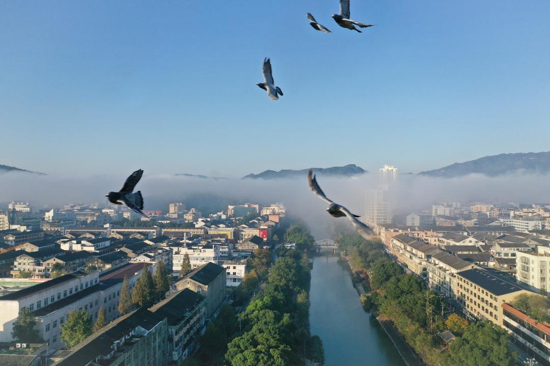 乐清流感下的自然探索之旅，心灵洗礼与重生之旅