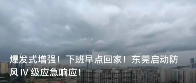 东莞最新试药探索与关注，药物试验的最新进展与关注点