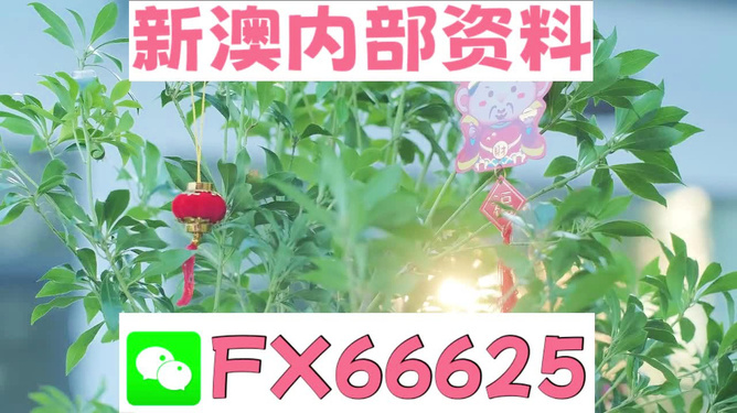 2024新澳精准资料免费提供网站,具象化表达解说_自由版4.197