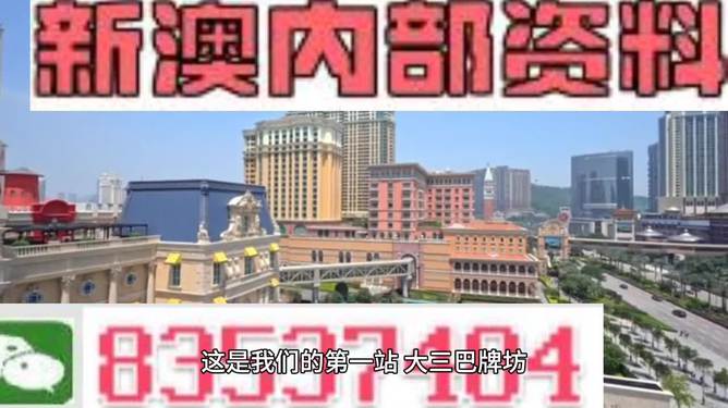 2024澳门免费资料,正版资料,精准解答方案详解_方便版85.223
