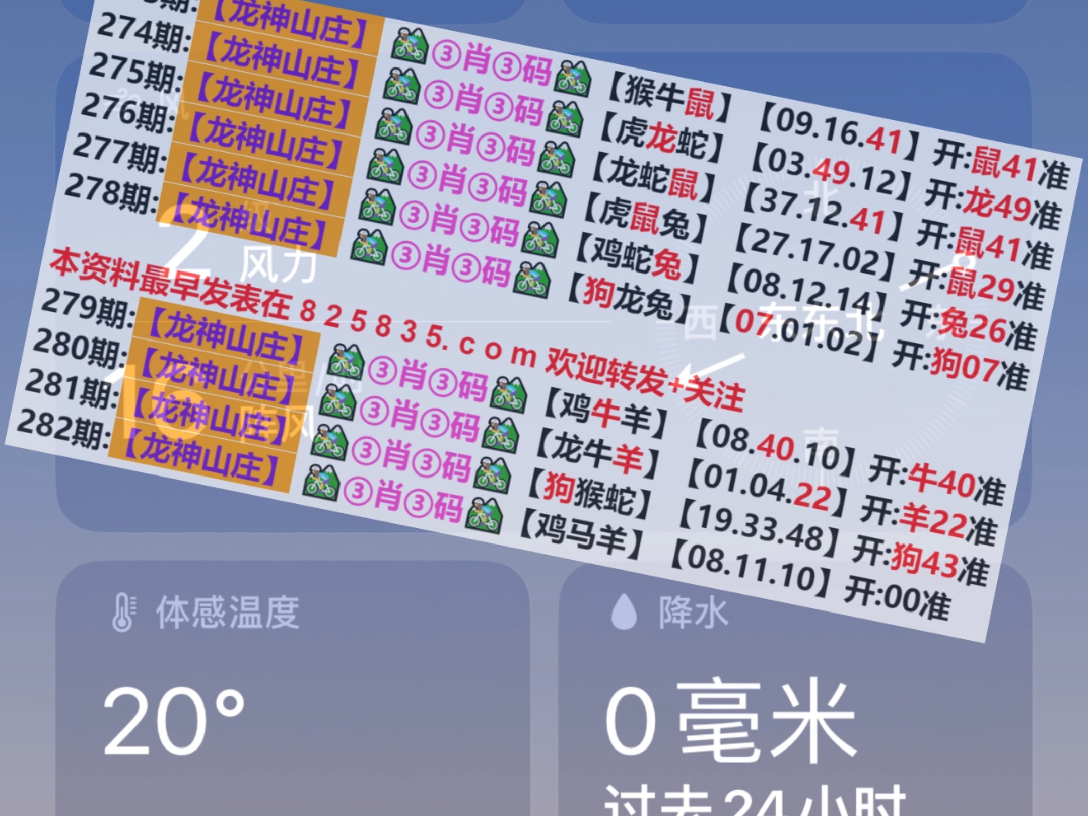 2024澳门天天彩期期精准,数据评估设计_搬山境16.138