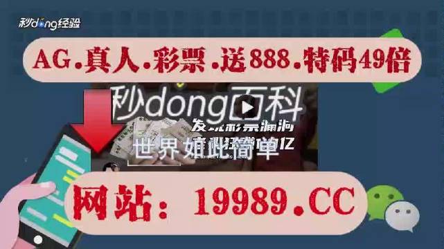 2024澳门开奖查询,科学解说指法律_旗舰款27.953