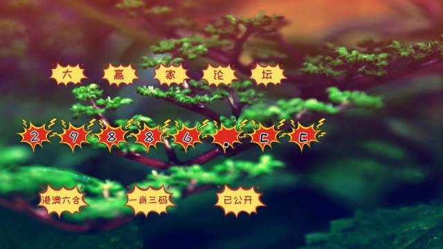 2024澳门最精准跑狗图,精准分析实践_美学版97.556