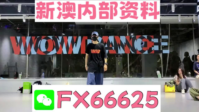 新澳门精准资料大全管家婆料,决策资料集_环境版3.801