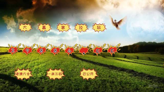 澳门4777777今晚开奖查询,推动策略优化_旅行助手版94.215
