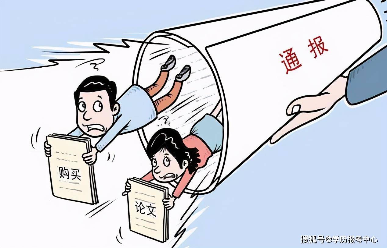 解读与应对，最新造假规定详解