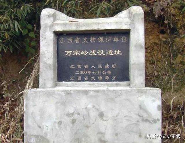 浦淳最新，小巷深处的独特风情