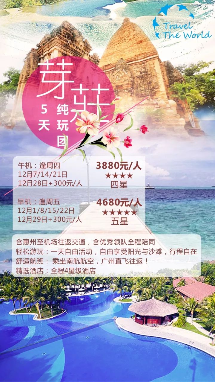 2月最新,二月最新，时代变迁的见证者