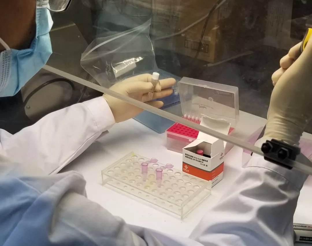 最新医保支付方式的深度探讨，一种观点下的改革分析与阐述