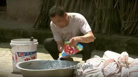 老黄最新探险记，自然美景的轻松追寻之旅