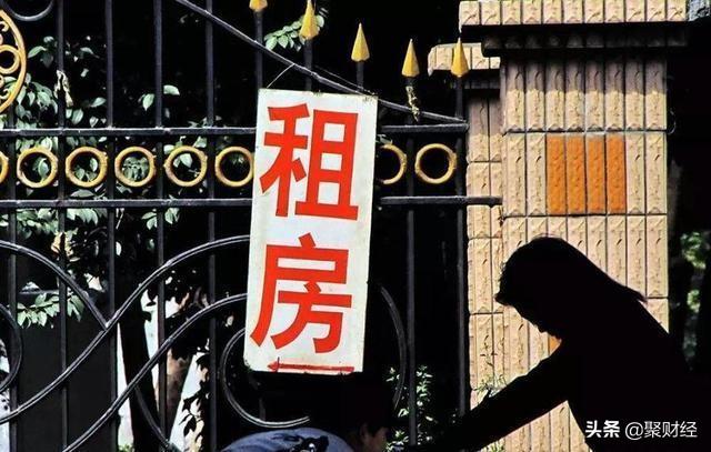 缴纳公积金最新政策与巷弄深处的特色小店探秘揭秘