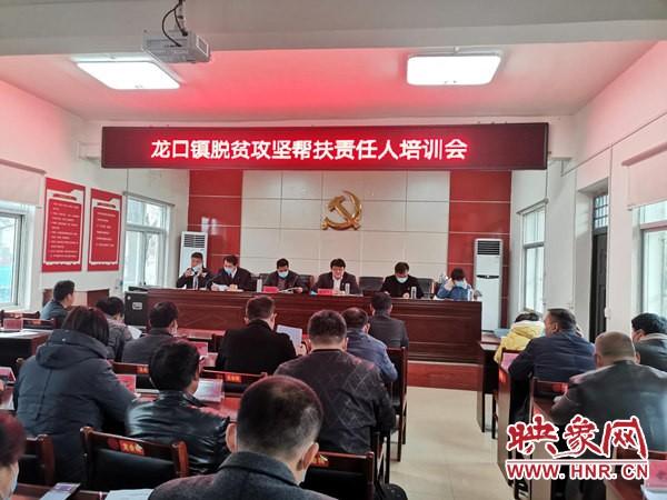 新蔡市的温馨日常，友情、趣事、家的温暖最新消息概述