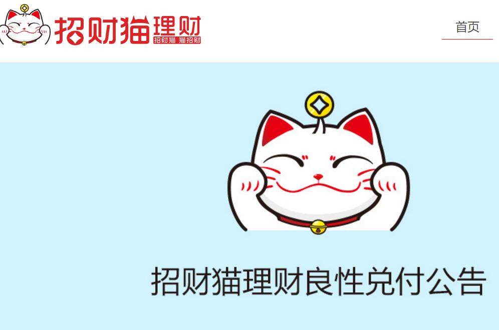 理财猫动态更新，学习、变革与自信的步伐引领猫步之旅