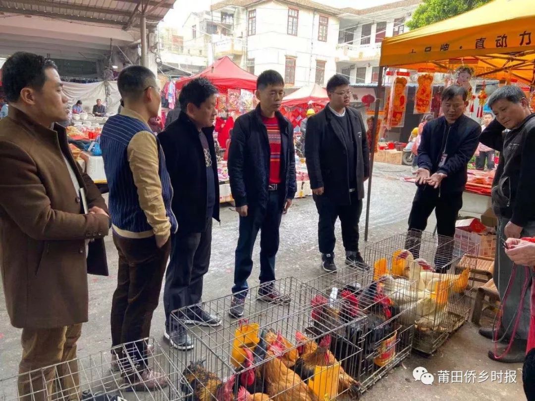 全球最新活禽交易市场动态速递，市场趋势与最新进展