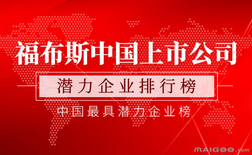 深入了解与参与中国上市公司，全步骤指南（适用于初学者及进阶用户）