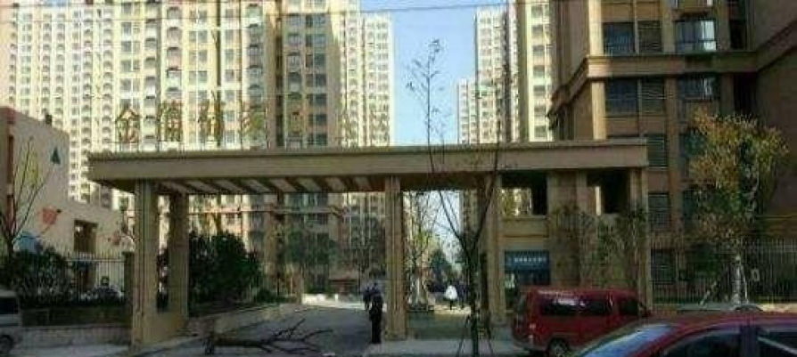 金葡萄家园最新动态，家的温馨与友情的绽放时刻