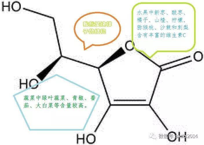 维生素资讯更新，背景、事件及影响概述