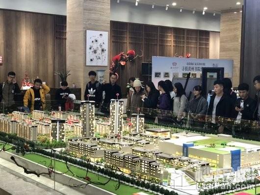 英山最新资讯，日常趣事与友情情感纽带