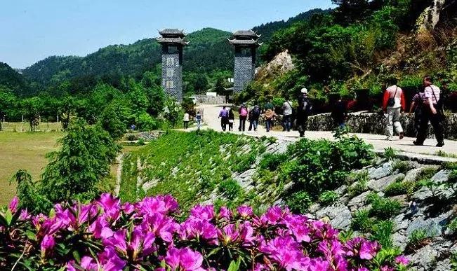 黄鹤楼峡谷柔情价格详解